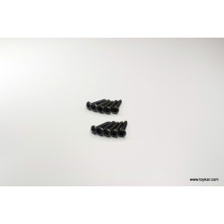 1-S03015TP TP Bind Screw(M3x15/10pcs)