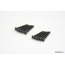 1-S03025 Bind Screw(M3x25/10pcs)