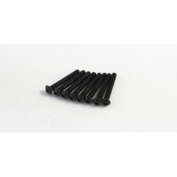 1-S13022H Button Screw(Hex/M3x22/8pcs)