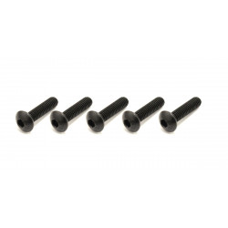 1-S14016H Button Screw(Hex/M4x16/5pcs)