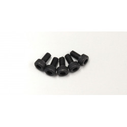 1-S23006 Cap Screw(M3x6/5pcs)