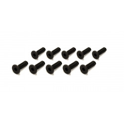 1-S33010TPH TP Flat Head Screw(Hex/M3x10/1