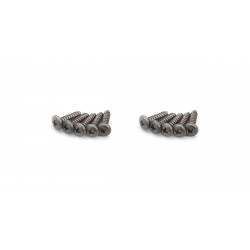 1-S02608TPB TP Bind Screw(M2.6x8/10pcs)