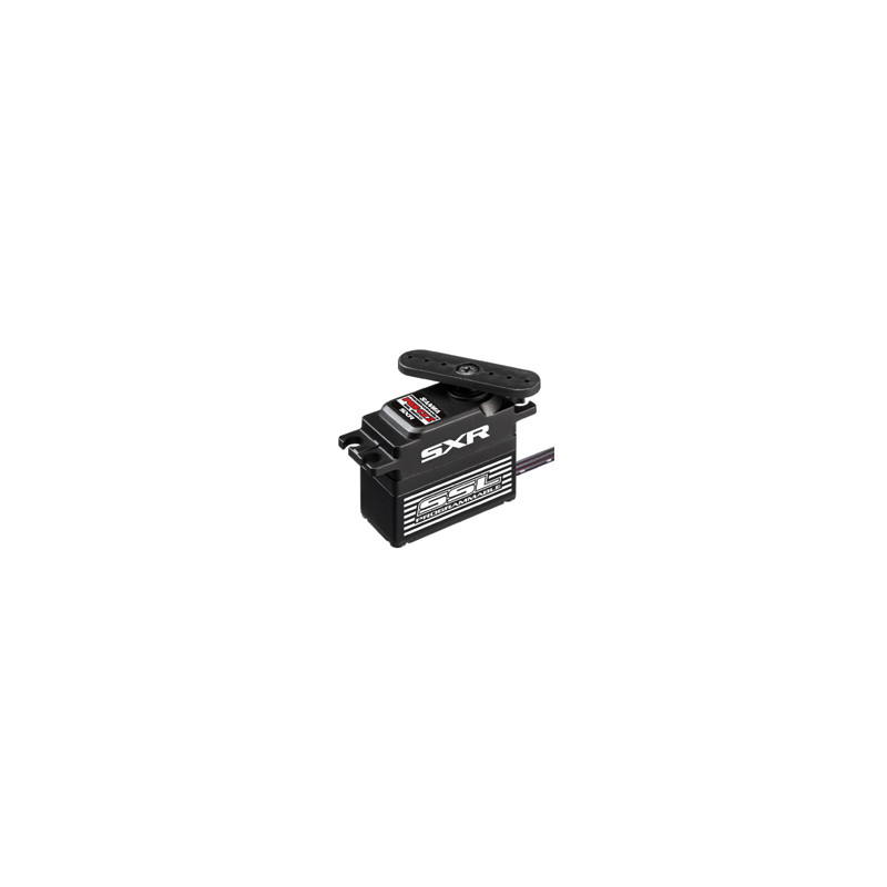 SWPGSCX2 Sanwa Servo PGS CX II
