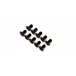 1-S34008H Flat Head Screw(Hex/M4x8/10pcs)