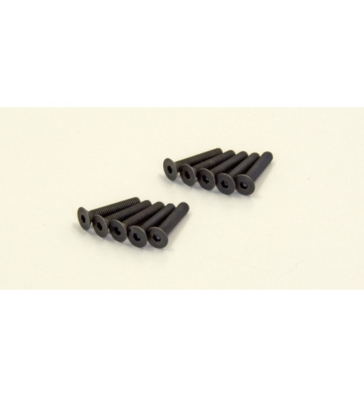 1-S33016H Flat Head Screw (M3x16) (Hex/10pcs)
