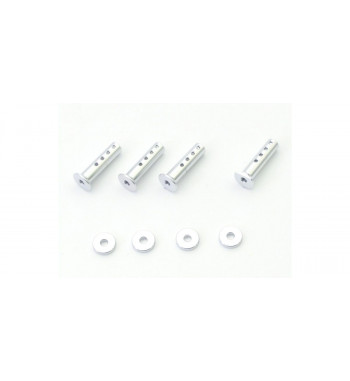 EF219S Body Mount (FANTOM EP-4WD)
