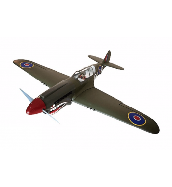 SEA250S P-40N WARHAWK SHARK HEAD 33cc-50cc 80″  WINGSPAN