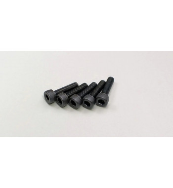 1-S23012 Cap Screw(M3x12/5pcs)
