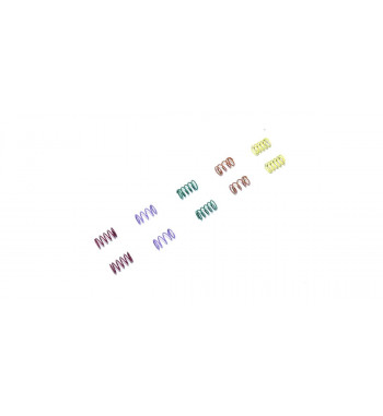 MZW701 Front Spring Set (MR-04)