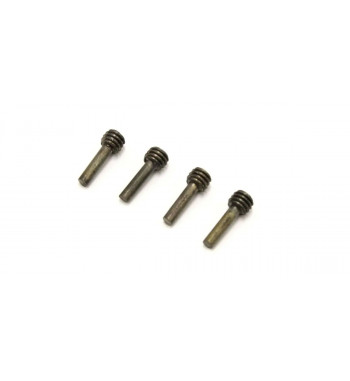 FA511 Screw Pin 2x11xM4 FZ02  (4pcs)